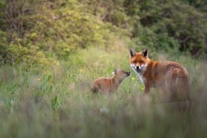 469ff821-d206-432b-9158-094749d77fd8_911x607